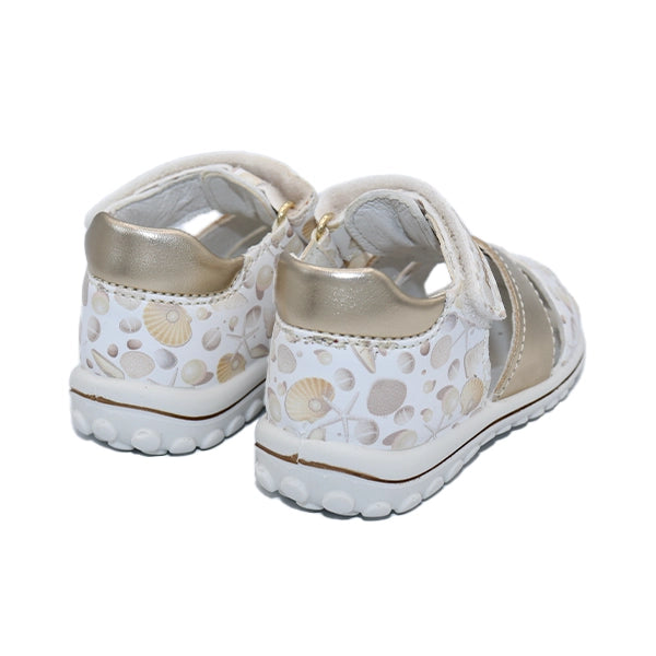 SWEET SEA SHELLS